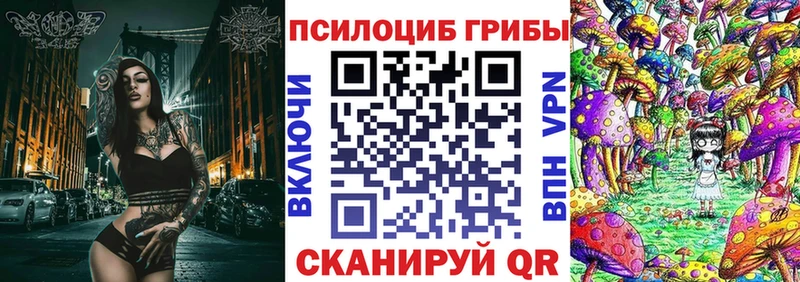 Купить  Нижняя Тура  Псилоцибиновые грибы Cubensis 